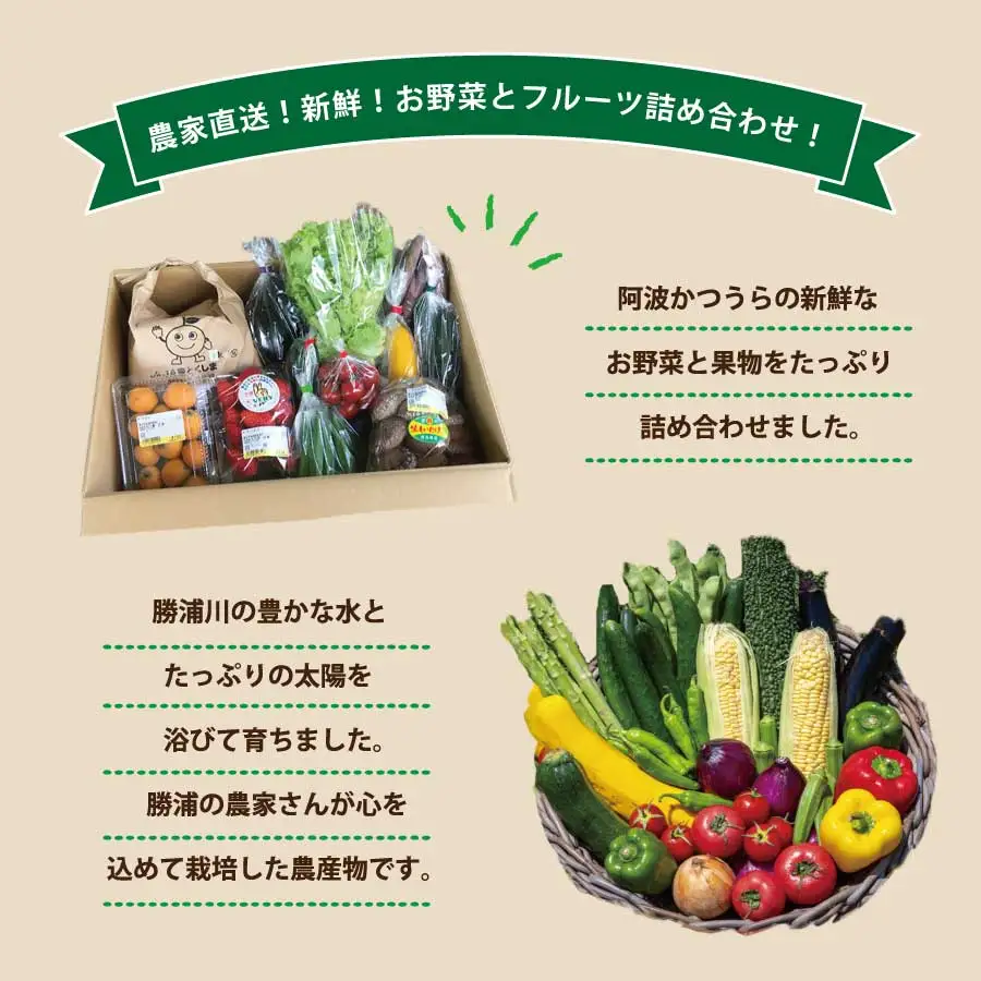 阿波かつうら農産物 お試しセット