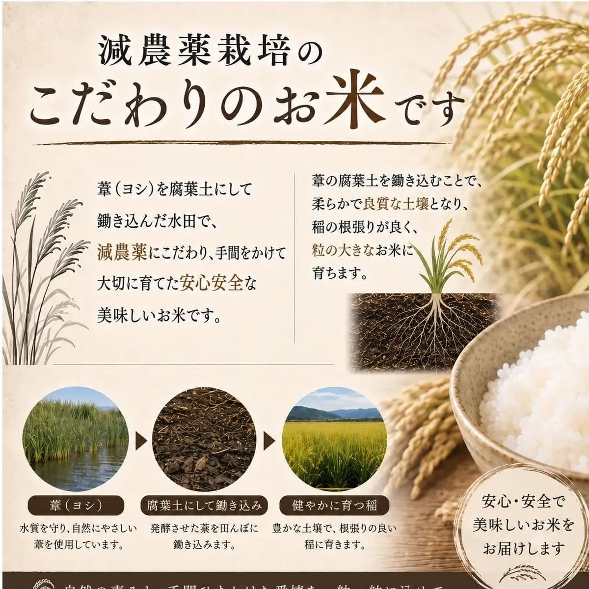 ＜先行予約＞ 米 お米 ササニシキ 令和8年産 精米 60kg（10kg×6回発送）＜定期便＞ 新米 ヨシ腐葉土米