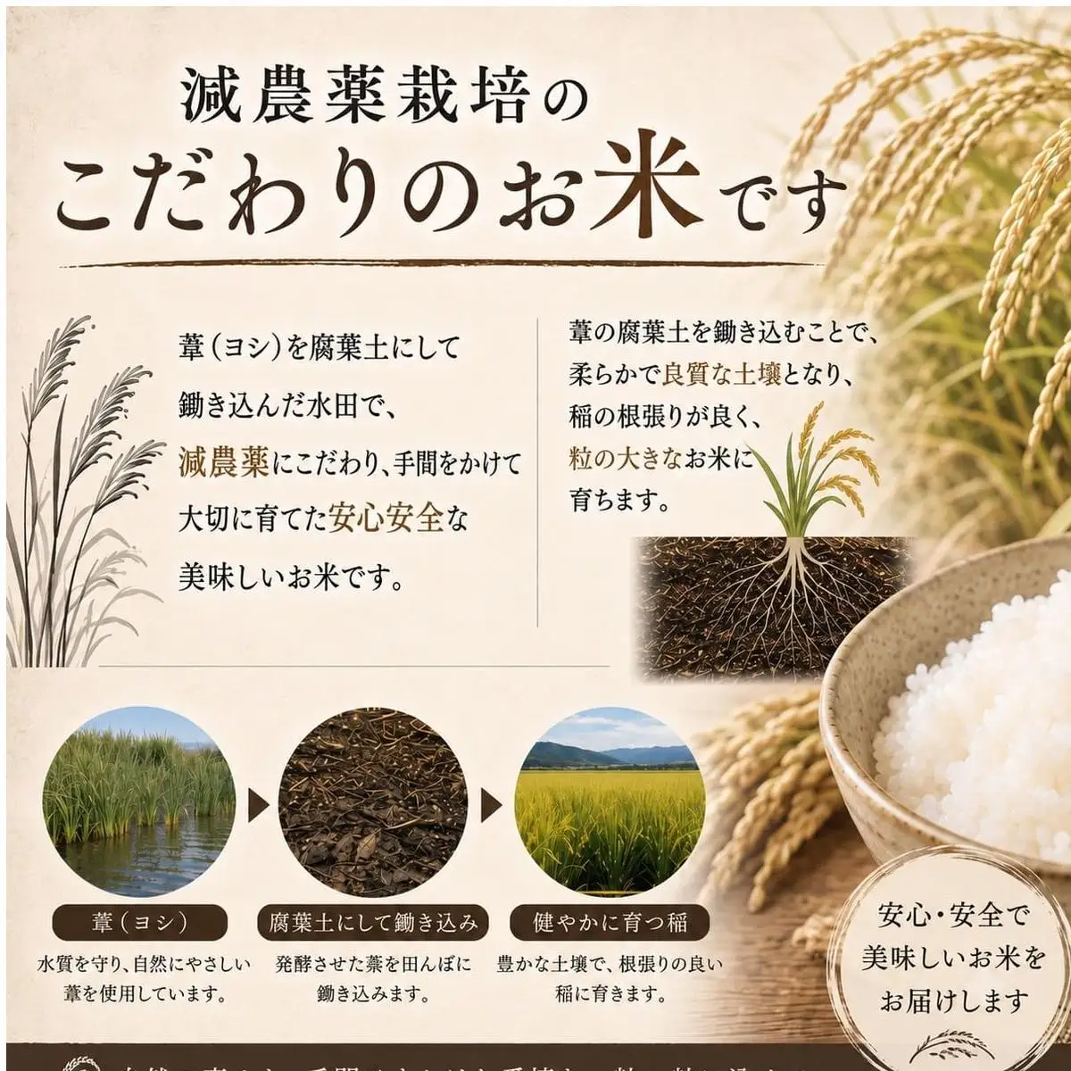 ＜先行予約＞ 令和8年産 定期便 ヨシ腐葉土米 精米 60kg （10kg×6回発送） コシヒカリ 新米
