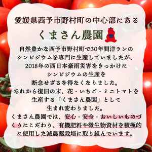 甘くて濃厚な味わい「うるるんトマト」(1kg） NFK0001