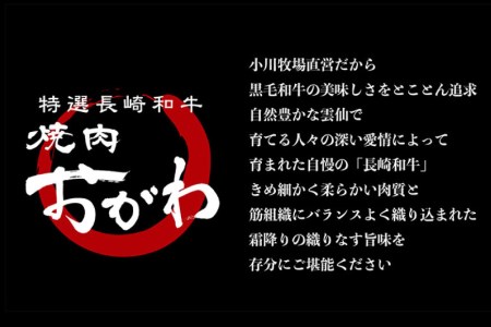 定期便 12回 牛肉 雲仙育ち おがわ牛 A5 サーロインステーキ 総計4.8kg(400g×12回) [焼肉おがわ 長崎県 雲仙市 item2112] ステーキ 黒毛和牛 冷凍