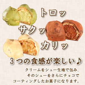 シュートリフ 12個 クリーム チョコ レート 黒糖 抹茶 贈答 ギフト バレンタイン ホワイトデー アイシング お菓子 スイーツ デザート 洋菓子 牛乳 バター ココア 食塩 卵 きなこ 10000円 冷凍 国産 愛媛 愛南