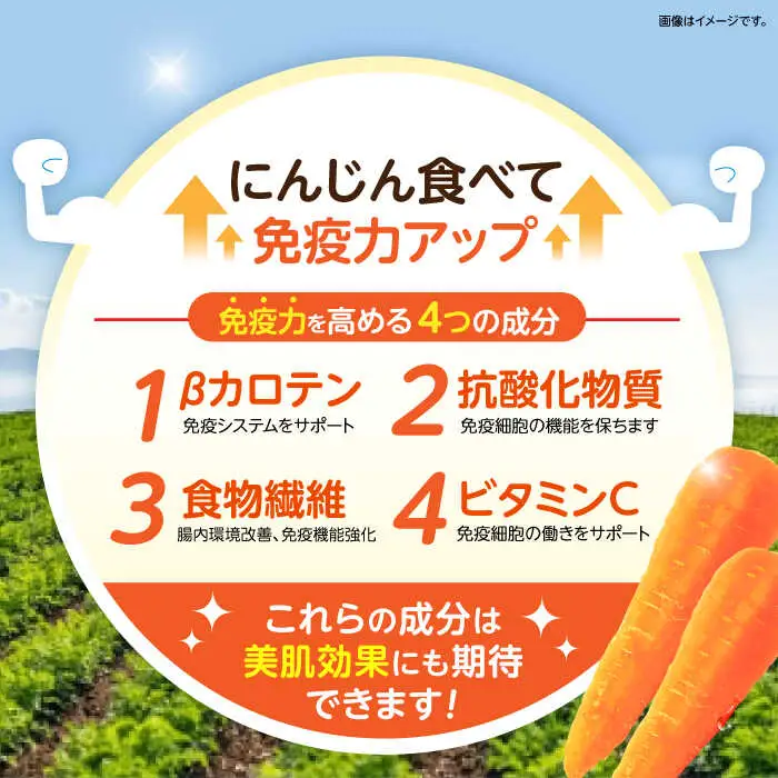 ※【2026年11月下旬より順次発送／先行予約】滝さんの人参 10kg 人参 AHCU001