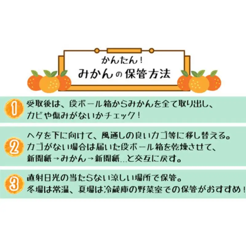【初秋の美味】ご家庭用ゆら早生有田みかん　約10kg+200g(傷み補償分)【サイズ混合】【2026年10月中旬～11月上旬頃に順次発送予定】　※北海道・沖縄・離島配送不可 / みかん 果物 くだもの フルーツ【ard053C】