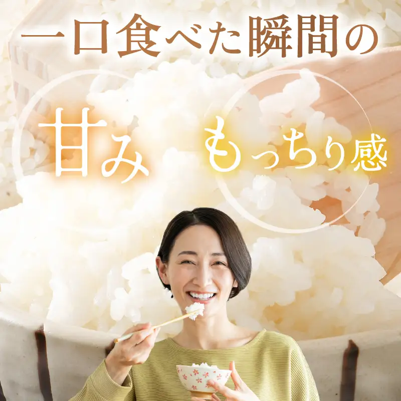 令和8年産・新米 コシヒカリ 10kg（精米） [B-11302_03]
