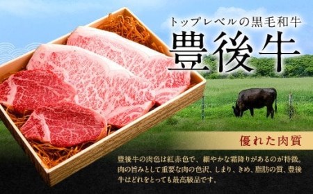 082-425 豊後牛 リブロース 鉄板焼用 700g 和牛 牛肉 ロース