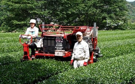 014-184 特上煎茶 かぶせ 100ｇ×2袋 200g