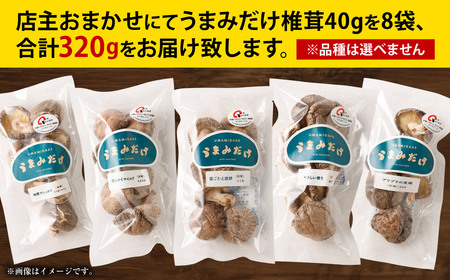 015-602x2 うまみだけ 食べくらべセット 40g×8袋 計320g しいたけ きのこ 豊後大野市
