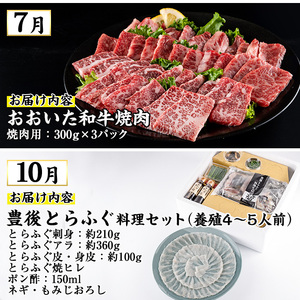 ＜先行予約受付中！2027年1月中旬より配送開始予定＞＜定期便・全4回＞味力全開! 佐伯の煌き 春夏秋冬 定期便 (該当月にお届け) 鰤 ブリ ステーキ サーロイン リブロース 焼肉 とらふぐ 刺身 ふぐ 鍋 セット 【BR114】【佐伯市ふるさと納税事業者協議会】