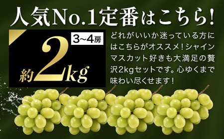 【ふるなびWEEK対象】シャインマスカット 約2kg ｼｬｲﾝﾏｽｶｯﾄ
