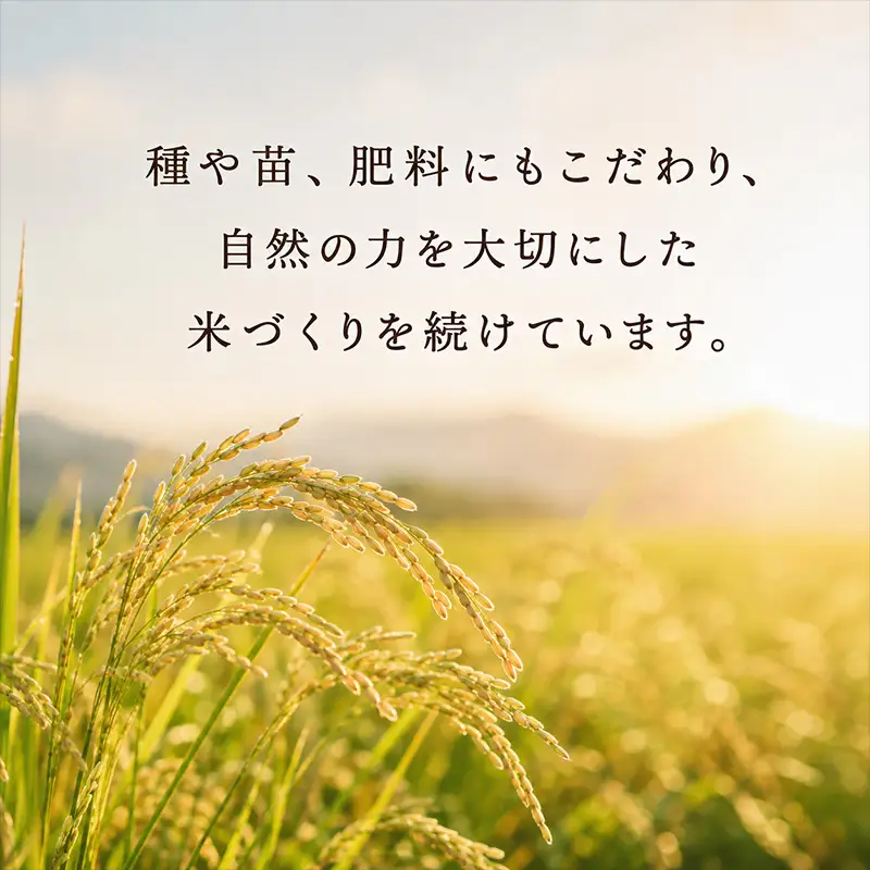 一粒田が作る上場産コシヒカリ 5kg (玄米)