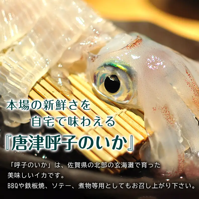 唐津呼子産 丸ごといか(小サイズ)未処理 1kg以上