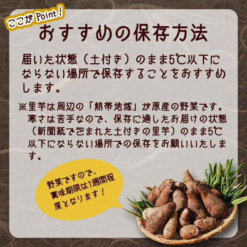 里芋 子姫芋（こひめいも）土付 2.4kg以上（400g×6袋） 山形 令和8年産 2026年産 【2026年9月下旬頃から11月上旬頃配送予定】　016-B-CS001