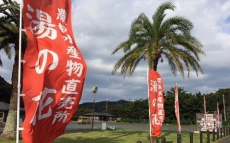 【先行予約＿2027年出荷分】湯の花　ポンカン10kg箱セット