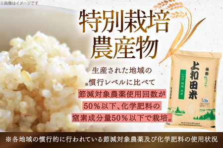 令和7年度 特別栽培米 コシヒカリ 玄米 5kg