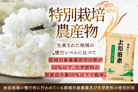 令和7年度 特別栽培米 コシヒカリ 白米 5kg