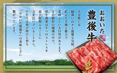 【大分県産】豊後牛 赤身 スライス (モモ・肩) 約600g (約300g×2)