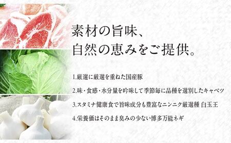 穂満 謹製 手造り餃子 114個 餃子 ぎょうざ