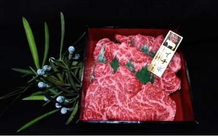 【茨城県共通返礼品】茨城県産【常陸牛希少部位】焼肉食べ比べ4種セット