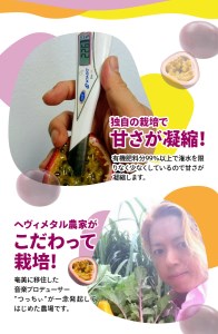 【 2026年 先行予約 】 高糖度 パッションフルーツ 約1.6kg A059-005