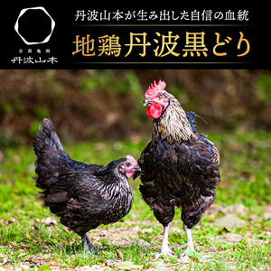 水炊きセット 丹波黒どり ぶつ切り 鍋 水炊きセット【2〜3人前】【冷凍】