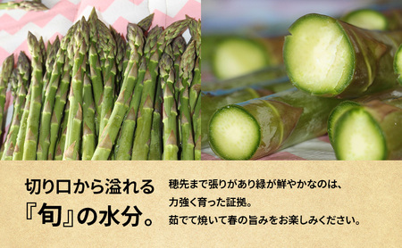 先行予約 グリーンアスパラ 1kg M～2L混合 アスパラガス