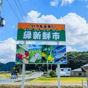 定期便 4回 季節 お楽しみ 野菜 詰め合わせ セット 6?8種 緑新鮮市 キャベツ 人参 にんじん きゅうり じゃがいも なす ほうれん草 小松菜 ピーマン かぼちゃ 白菜 大根 さつまいも 玉ねぎ たまねぎ ブロッコリー トマト オクラ レモン ネギ 生姜 栗 愛媛県 愛南町 (定期便 4回 フレッシュ定期便 お楽しみ定期便 野菜定期便 新鮮定期便）