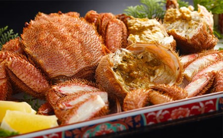 前浜茹で毛がに3尾（約380～440g） ＜株式会社 鳥潟＞ かに カニ 蟹 ガニ がに 森町 ふるさと納税 北海道 毛蟹 毛かに 毛ガニ 毛カニ 北海道 ズワイカニ ズワイ蟹 ズワイガニ mr1-0153