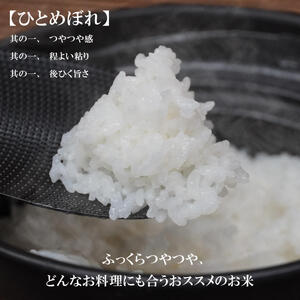 ひとめぼれ 無洗米 5kg 米 定期便 12回 12ヶ月 連続 お届け 60kg 盛岡市産 いわて米 ブランド米 精米 白米 米 お米 こめ コメ ライス ご飯 ごはん 美味しい おすすめ贈り物 国産 産地直送 盛岡 佐々木米穀店