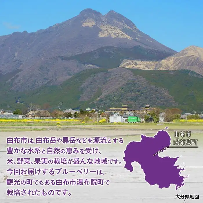 【由布市湯布院町産】 訳あり 冷凍ブルーベリー 3kg（1kg×3個）