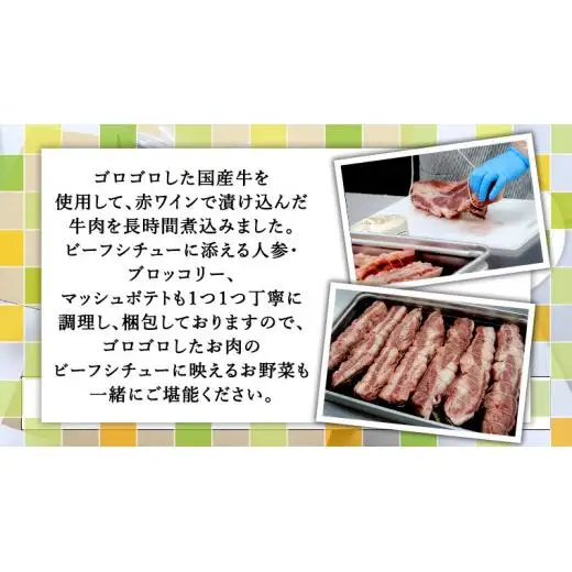 国産牛使用 こだわり 冷凍 ビーフシチュー （ 2食 ）と バケット（ 2つ ）セット