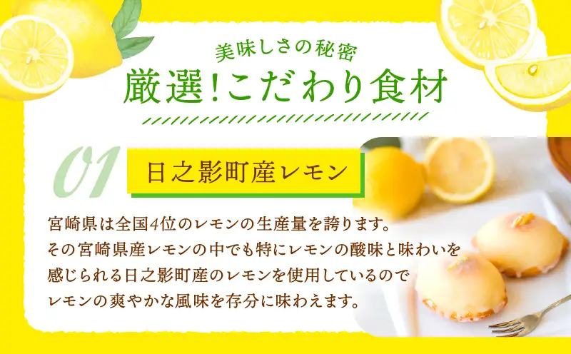 訳あり「宮崎レモンケーキ」 10個入りサイズ不揃い 欠けあり みやざきフードアワード審査員賞受賞 食品添加物不使用 宮崎県産 レモン 卵 高千穂町 _Tk022-015
