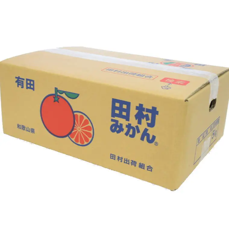 【ブランドみかん】田村みかん約5kg（2Lサイズ・秀品）【2026年11月下旬～2026年12月下旬頃に順次発送】【tec882A】