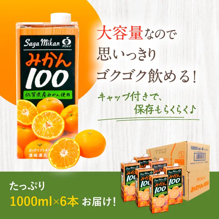 サンレイみかんジュース みかん100 1L×6本 みかんジュース[FCC016]