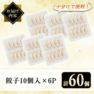 A3-008 国産！鹿児島県産黒豚餃子60個(10個入×6P)【肉の豊楽】霧島市 国産 豚肉 ぎょうざ ギョーザ ギョウザ 惣菜 おかず 冷凍