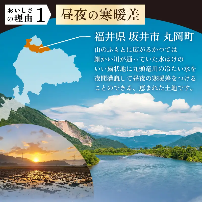 令和8年産・新米 コシヒカリ 計5kg（玄米） [A-11309_02]