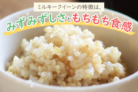 【先行予約】【令和7年産 新米】ミネラル豊富！弱アルカリ性のピロール米 ミルキークイーン 玄米 10kg（5kg×2袋）化学肥料5割以下・減農薬 [A-008006]