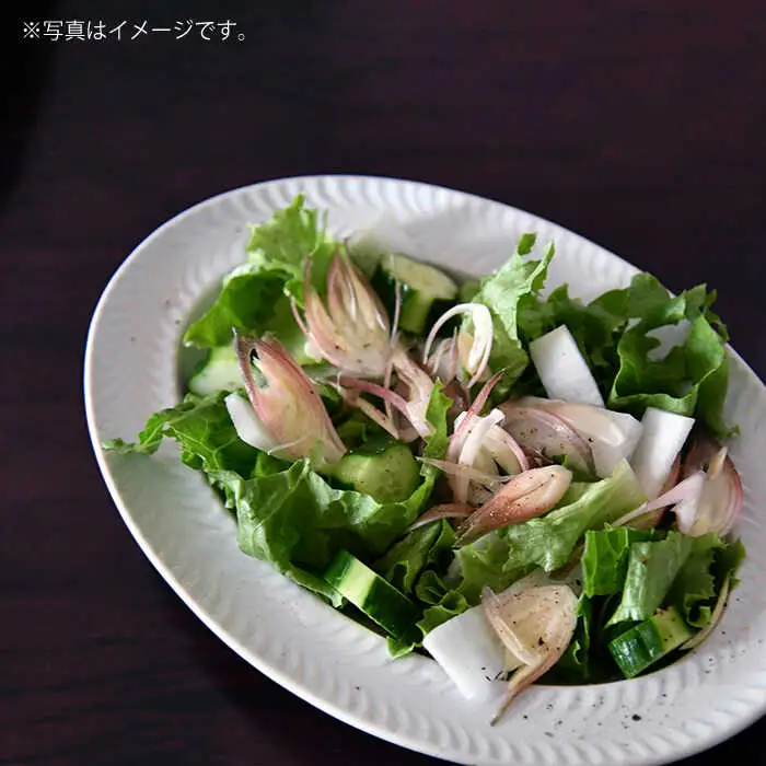 【波佐見焼】ローズマリー リムオーバル マットブラック 食器 皿 【翔芳窯】 [FE140]  波佐見焼