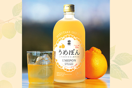 本格米焼酎 と デコポン梅酒 の厳選セット 6種 各1本 計6本 飲み比べ うめ酒 みかんのお酒 でこぽん お酒 酒 さけ 本格米焼酎 本格 本格焼酎 米焼酎 お米 米 白岳 はくたけ くまモン しろ 白岳しろ 金しろ 銀しろ うめぽん まつよい 待宵 梅 梅酒 焼酎 しょうちゅう リキュール アルコール 華やか スッキリ 芳醇 果汁 減圧蒸留 熊本県 熊本 多良木町 多良木 厳選 飲み比べ 018-0470