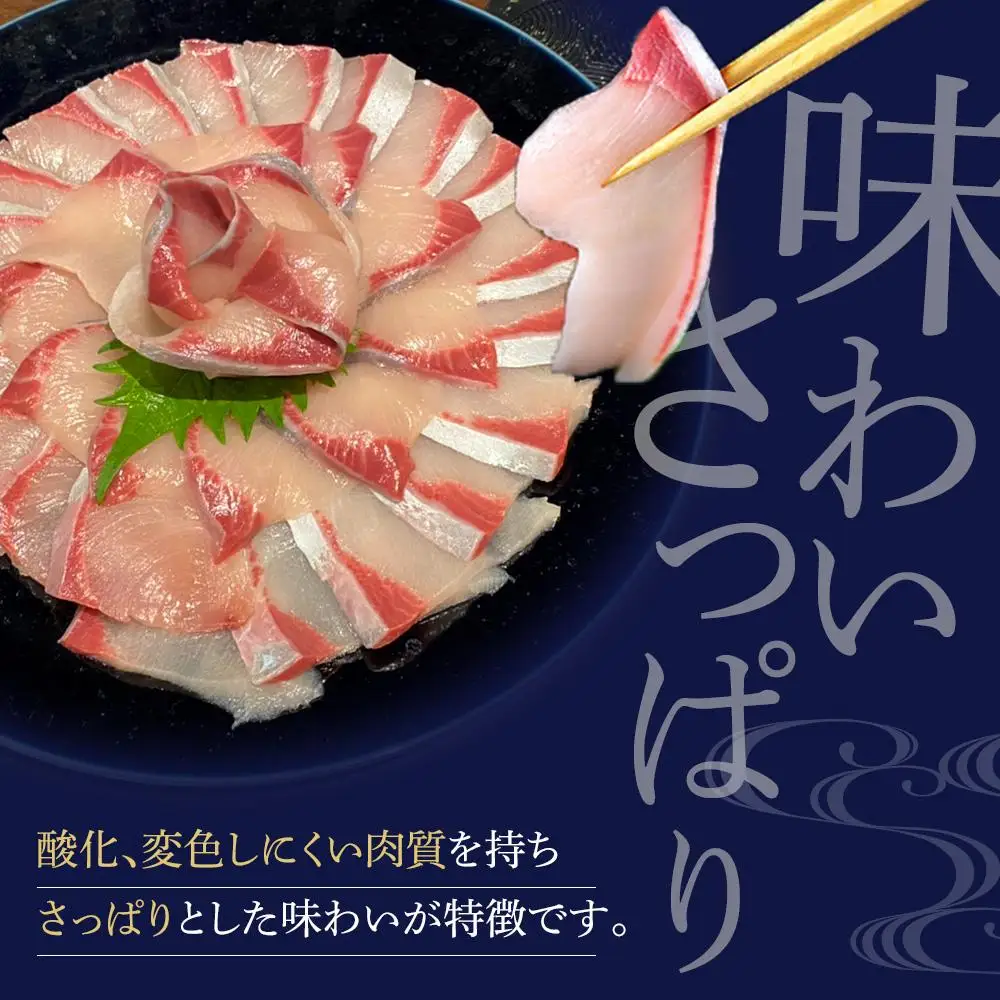 オリーブハマチ 半身 約1kg