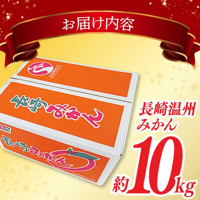 【温州みかん】ご家庭用温州みかん約10kg（100-120個）[EAH003]