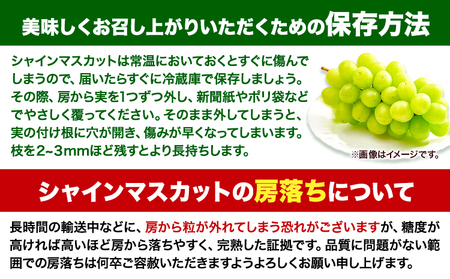 たたらみねらるシャインマスカット約2kg　ぶどう