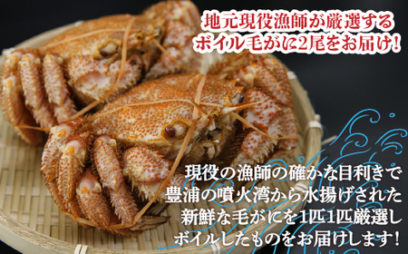【令和8年度発送先行予約】【地元現役漁師が厳選！！】ボイル・毛ガニ2尾（1尾400g前後）北海道 豊浦 噴火湾