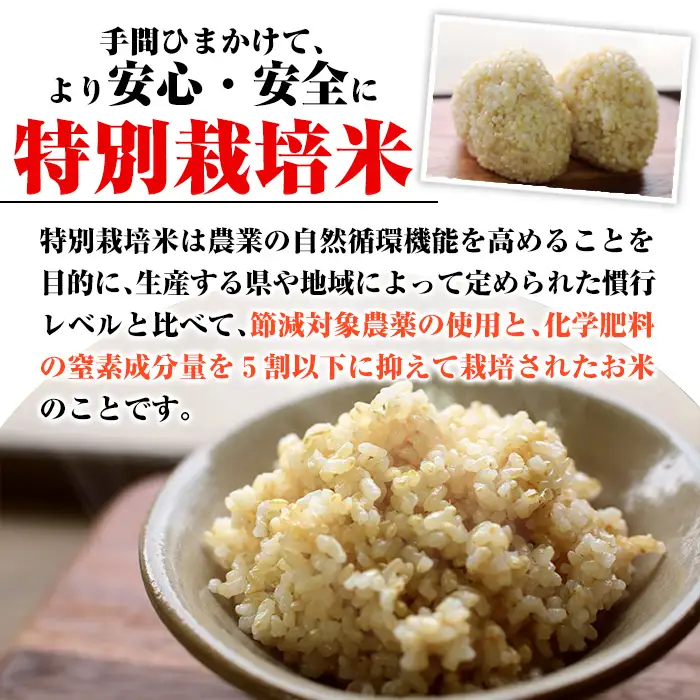 isa400 ＜14営業日以内に発送！＞令和7年産 特別栽培米 永池ひのひかり玄米(5kg) 鹿児島 永池 お米 米 玄米 伊佐米 九州米サミット 食味コンテスト 最優秀賞受賞 ヒノヒカリ 【エコファーム永池】