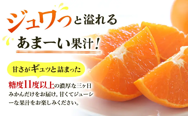 みかん 三ヶ日 5kg 青島 M〜2L 果物 フルーツ みかん