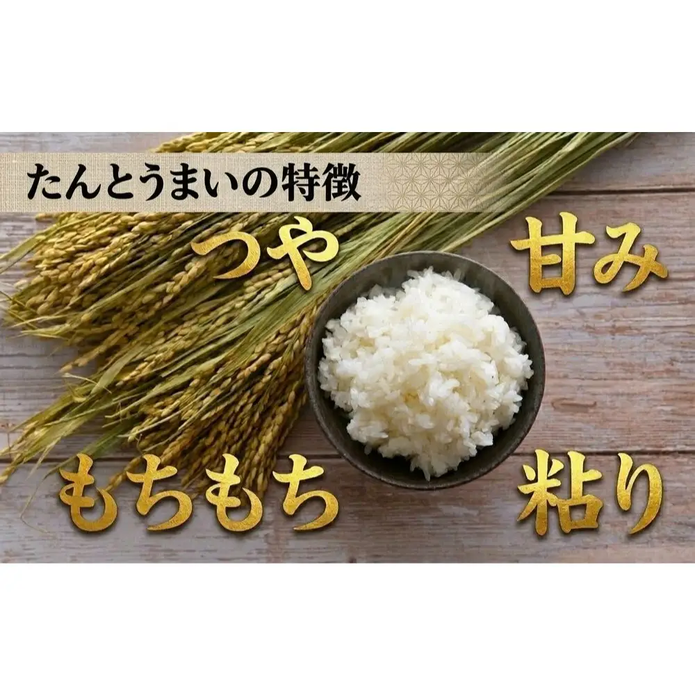 米 ななつぼし 15kg ＜令和7年産＞ たんとうまい 北海道 安平町【1340421】