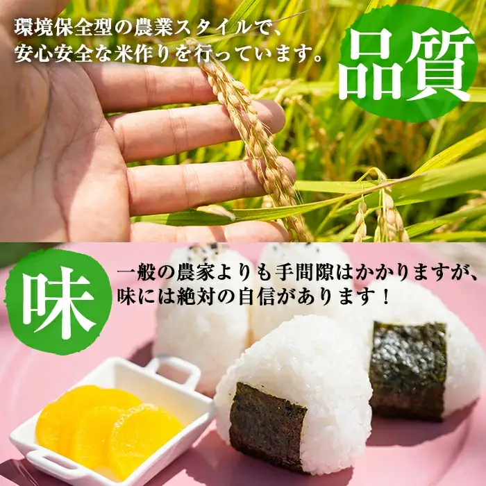 特別栽培米！川崎さん自慢のなつほのか 白米 (4.5kg×2袋・計9kg) b0-221