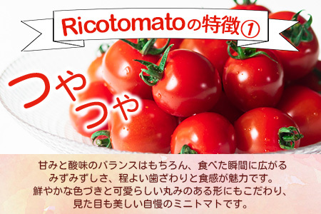 【先行受付】2027年1月より順次発送予定【少量パック】完熟ミニトマト 360g (120gx3p) | トマト プチトマト 野菜 農家直送 ギフト 人気 佐賀県鹿島市 たにぐちファーム Ricotomato（リコトマト）～とりこになるトマト～ B-324