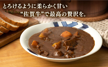 牛肉煮込み 佐賀牛 400g NAB012 牛肉煮込み