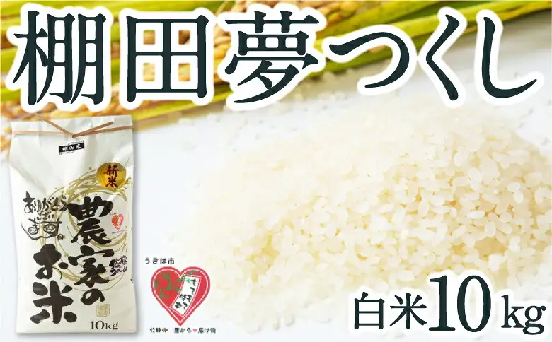 佐藤ファーム 棚田夢つくし 白米5kg 【2026年9月下旬より順次発送予定】 夢つくし こめ お米 コメ ごはん ご飯 送料無料 福岡県 うきは市